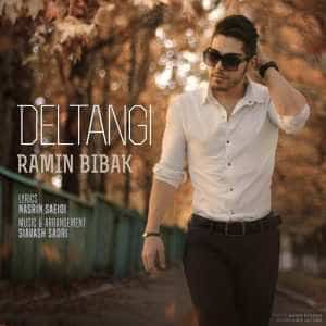 نایس موزیکا Ramin-Bibak-Deltangi-300x300 دانلود آهنگ جدید رامین بی باک به نام دلتنگی 
