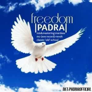 نایس موزیکا Padra-Freedom-300x300 آهنگ جدید پادرا به نام آزادی 